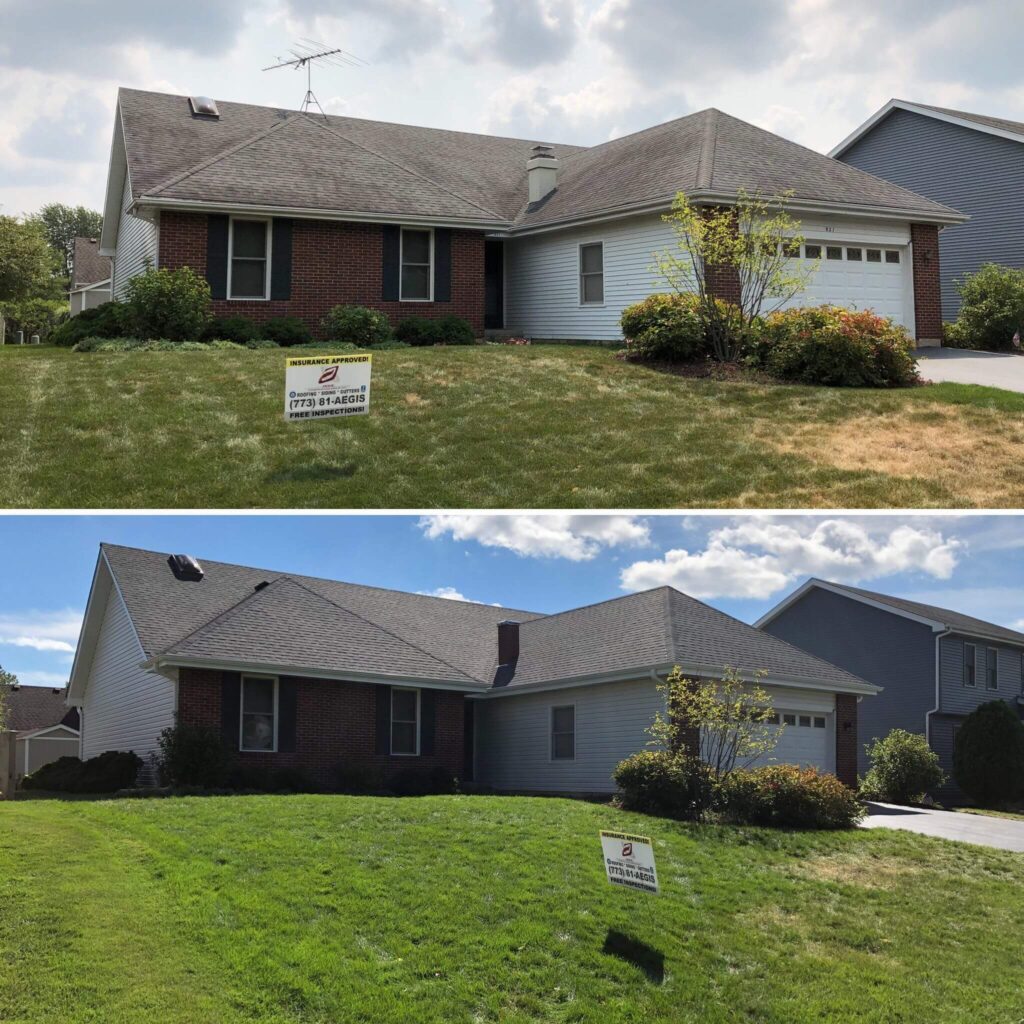 Professional Roofing Contractors