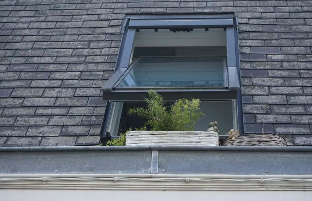 windows replacement