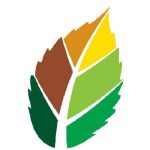 elmhurst chamber of commerce