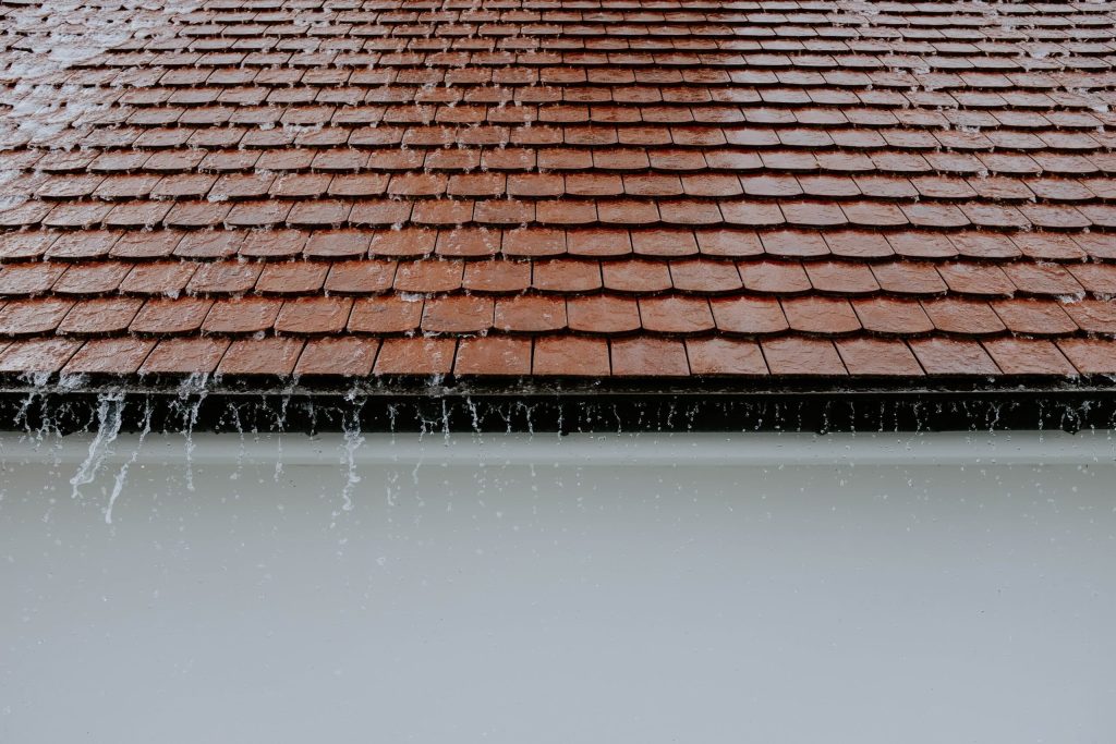 roof scaled