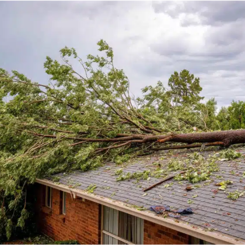 Storm Damage Roofing in Chicago, IL - Aegis