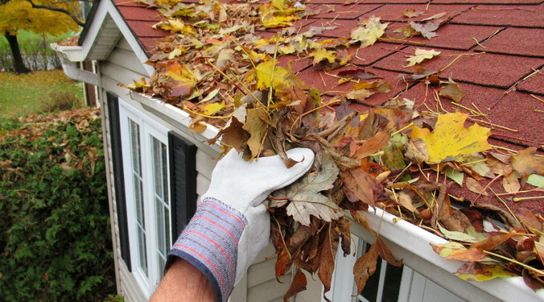 Damages Caused by Clogged Gutters - Aegis Construction