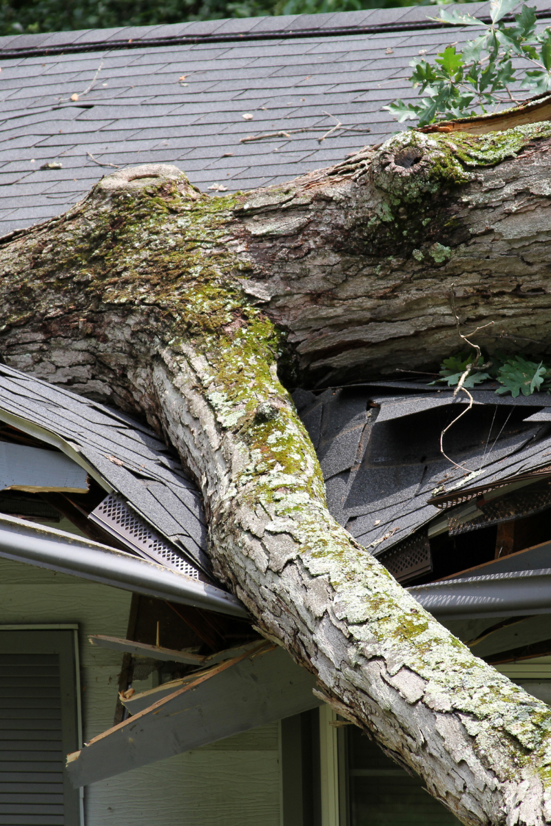 Storm Damage Roof Restoration in Chicago, IL - Aegis